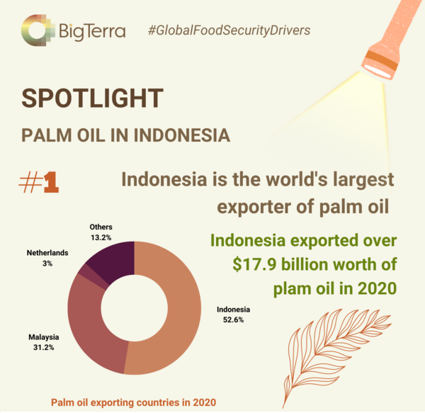 SPOTLIGHT ON INDONESIA